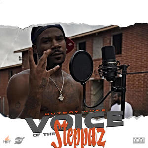 Voice OF The Steppaz (Explicit)