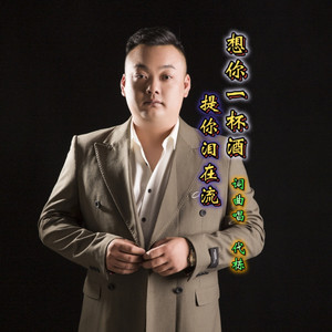 想你一杯酒提你泪在流