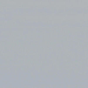 midnight in the park