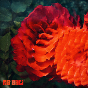 what is it worth (Explicit)