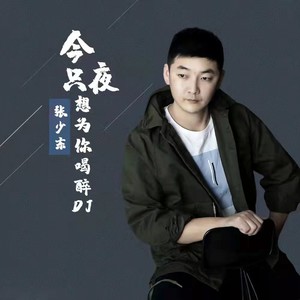 今夜只想为你喝醉 (DJ阿能版)