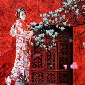 上阳宫词之和平鸽