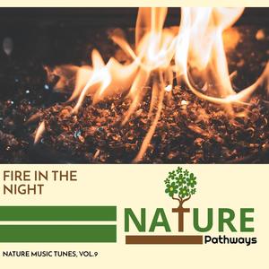 Fire in the Night - Nature Music Tunes, Vol.9