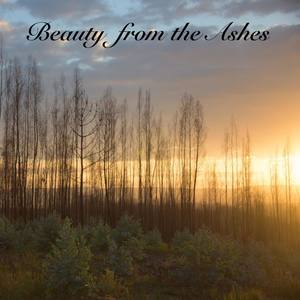 Beauty from the Ashes (feat. Becky Willard)