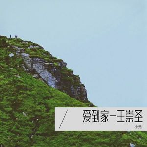 爱到家-王崇圣