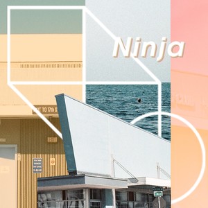 Ninja