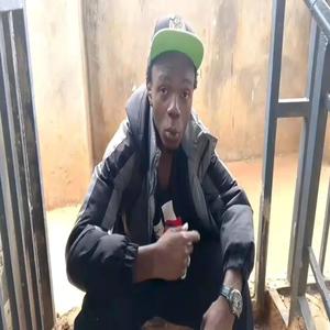 Birdman (feat. Seth Mode)