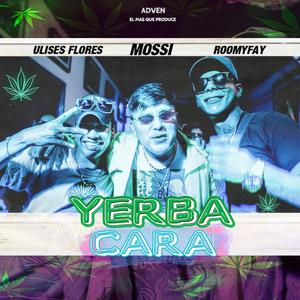 Yerba Cara(feat. Ulises Flores & Roomyfay) (Explicit)