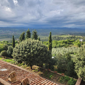 Banfi Dreams