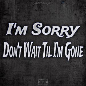 I'm Sorry, Don't Wait Til I'm Gone (Explicit)