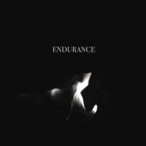 Endurance
