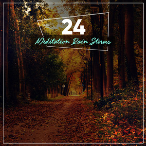 Delicate Rain Patter