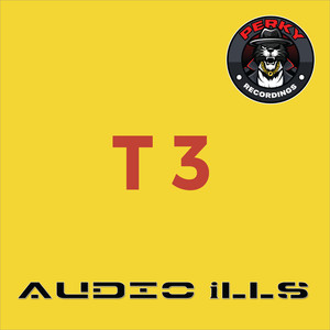 T3