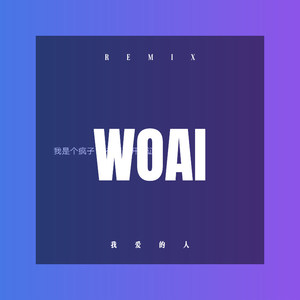 风中的诺言 (DJ版)