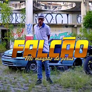 Falcão