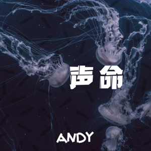声命