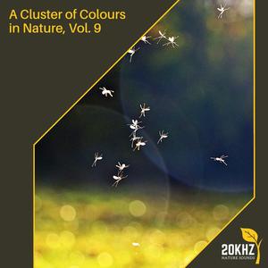 A Cluster of Colours in Nature, Vol. 9