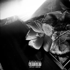 Money Over Everything (feat. MZ!) (Explicit)