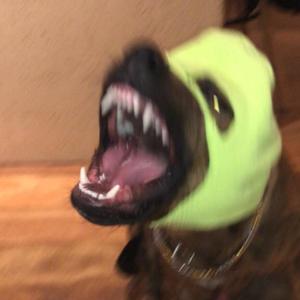 Locked Up, pt2(feat. POP) (Explicit)