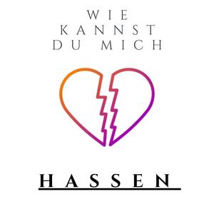 Wie kannst du mich hassen (feat. RobbyTrouble) [Explicit]