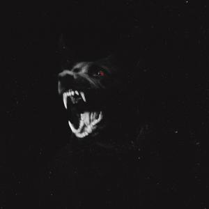 Drip(feat. L-Flxw) (Explicit)