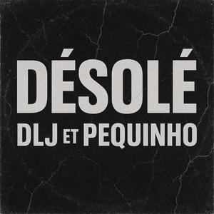 désolé (feat. Pequinho) (Explicit)
