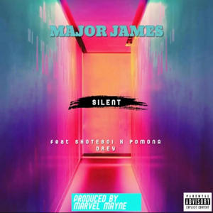 silent (feat. shote boi beatz, pomona drey & marvel Mayne) (Explicit)