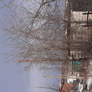 Бл-ща (боу Rec) (Explicit)