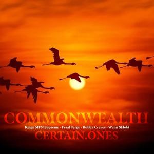 Commonwealth (feat. Reign Mfn Supreme, Feral Serge, Bobby Craves & Wann Sklobi) [Explicit]