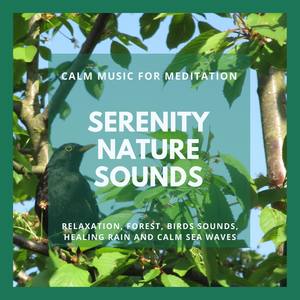 Serenity Nature Sounds - Calm Music For Meditation, Relaxation, Forest, Birds Sounds, Healing Rain A