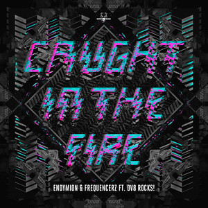 Caught In The Fire (Original Mix)