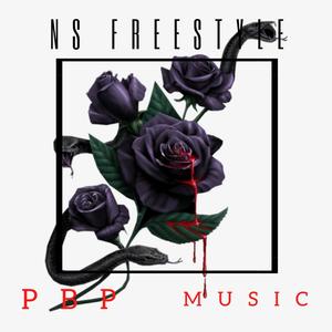 NS Freestyle (Explicit)