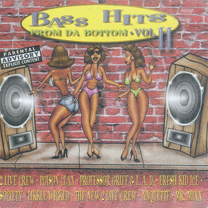 Bass Hits From Da' Bottom Vol. 2 (Explicit)