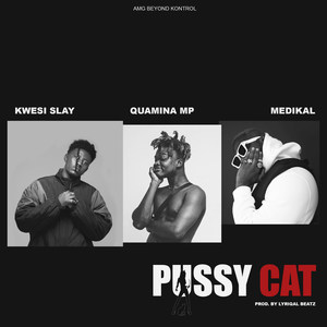 Pussy Cat (Explicit)