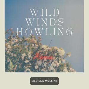 Wild Winds Howling (Remix)