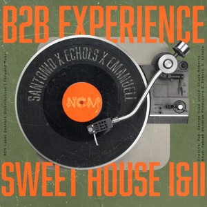 B2B Experience (Emanuell Mix)