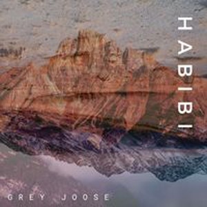 Habibi (Original Mix)