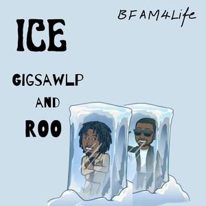 Ice (feat. Roo) [Explicit]