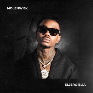 20 Bands (Explicit)