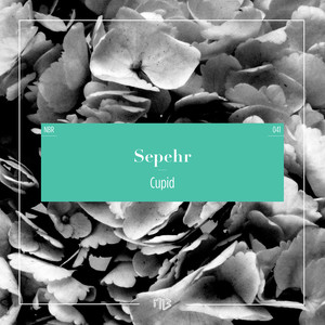 Cupid (Lars Moston Remix)
