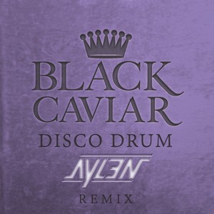 Disco Drum (Aylen Remix)