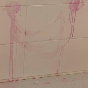 pebble's song (feat. Pebble)