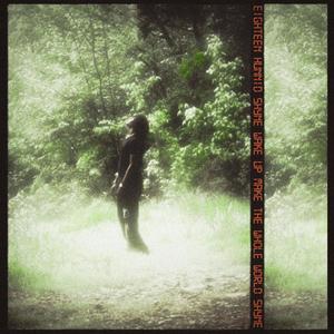 ACT A FOOL (feat. Danye) (Explicit)