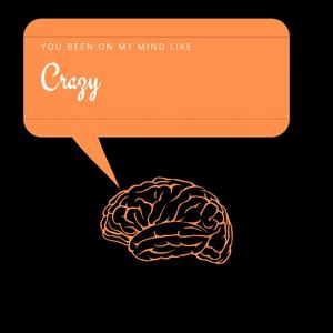 Crazy(feat. Spankk Rokk)