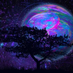 Roll Call (feat. K.Shanae Thee Lady Rapper) (Explicit)