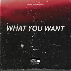 What You Want (Explicit)