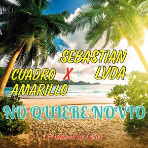 No Quiere Novio (feat. Sebastian LVDA) [Explicit]