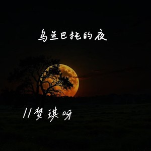 乌兰巴托的夜