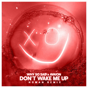 Don't wake me up (Human Remix)