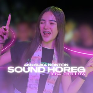 Aku Suka Nonton Sound Horeg